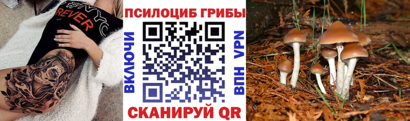 Псилоцибиновые грибы Psilocybine cubensis  МЕГА как войти  Ахтырский 